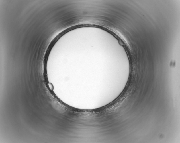 X0000093620980200711121231