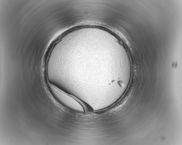 X0000093620981200711121231