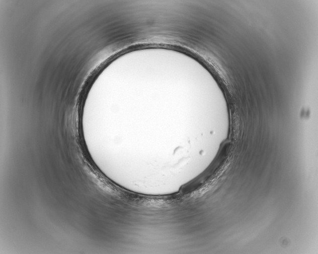 X0000093620982200711121231