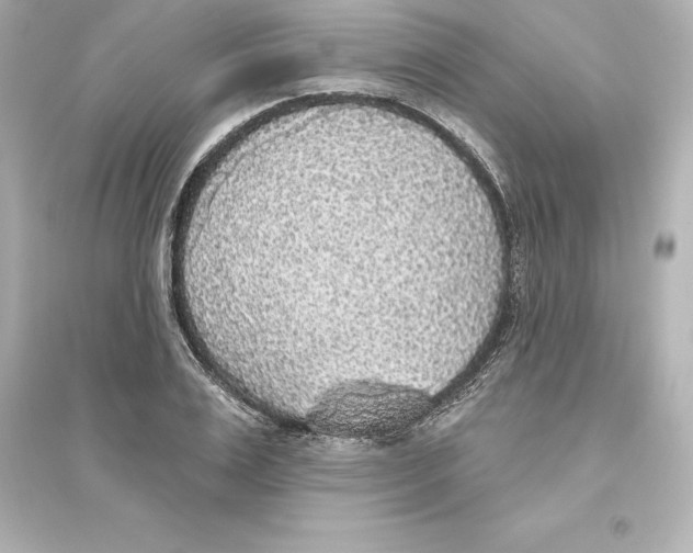 X0000093620983200711121231