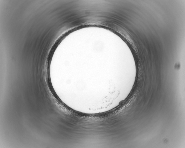 X0000093620984200711121231