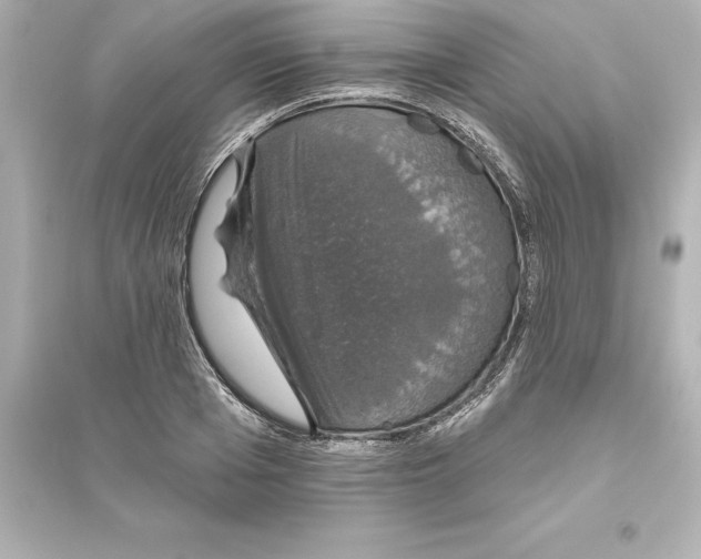 X0000093620985200711121231