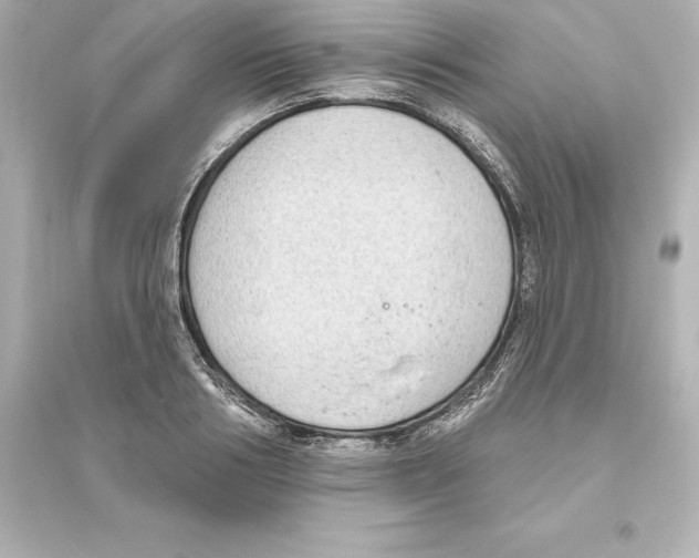 X0000093620986200711121231