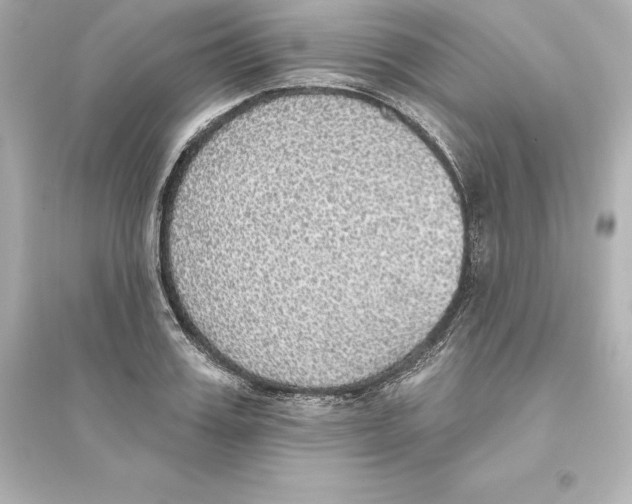 X0000093620987200711121231