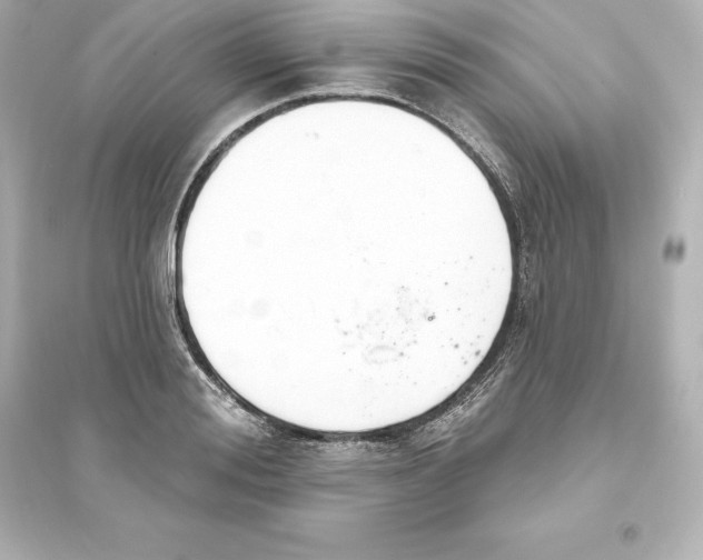 X0000093620988200711121231