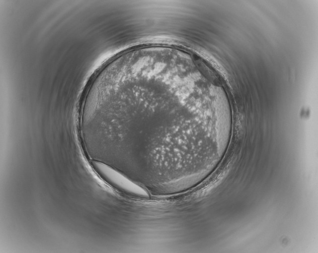 X0000093620989200711121231