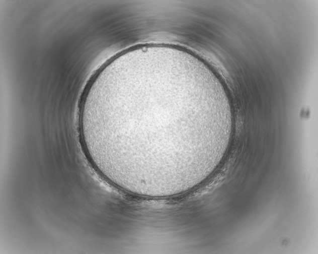 X0000093620990200711121231