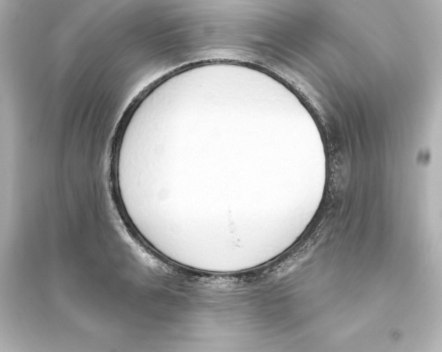 X0000093620991200711121231