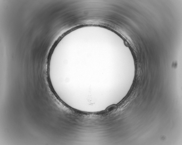 X0000093620992200711121231