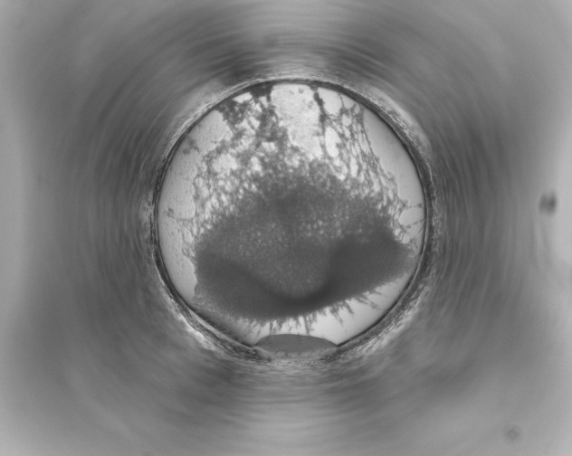 X0000093620993200711121231