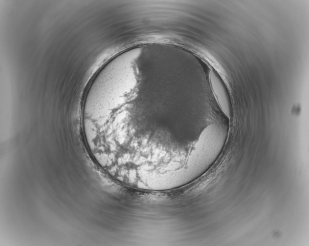 X0000093620994200711121231