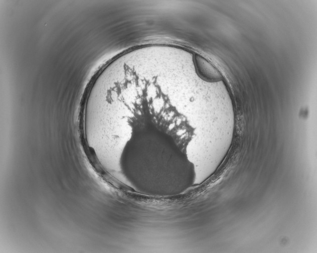 X0000093620995200711121231