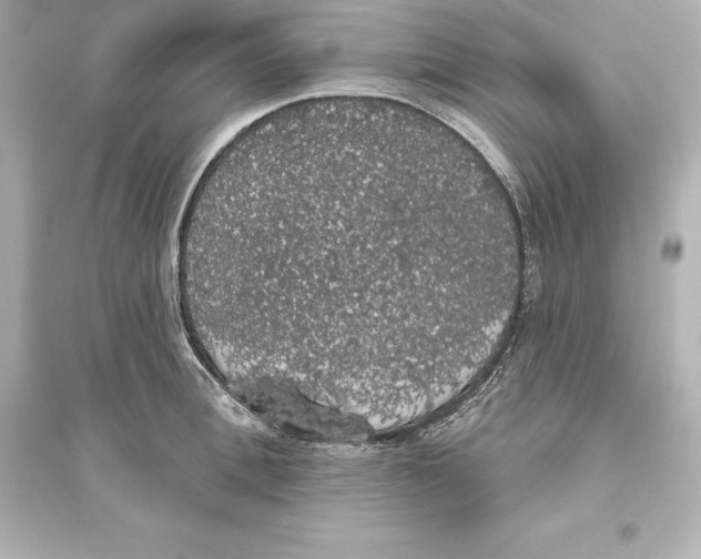 X0000093620996200711121231