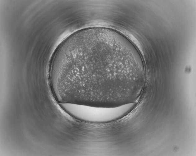 X0000093620997200711121231