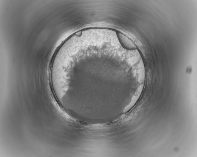 X0000093620998200711121231