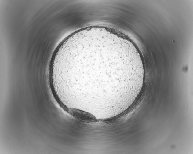 X0000093620999200711121231