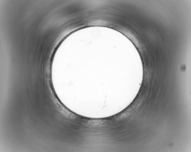 X0000093621000200711121231