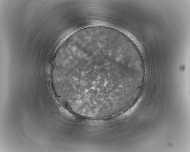 X0000093621001200711121231