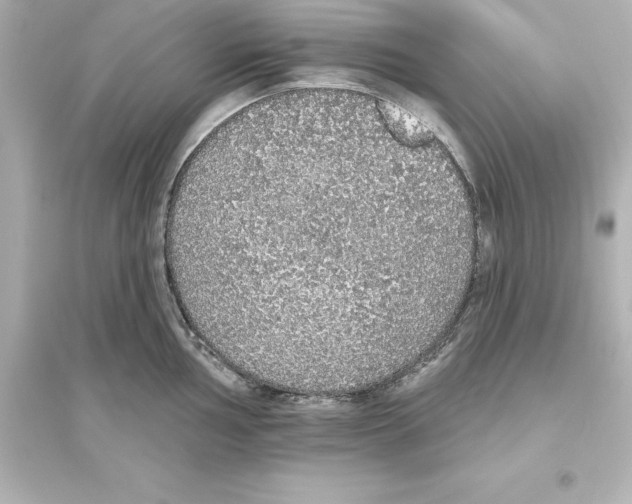 X0000093621002200711121231