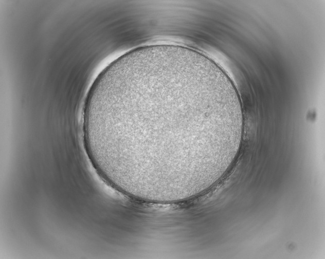 X0000093621003200711121231