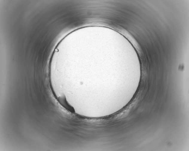 X0000093621004200711121231