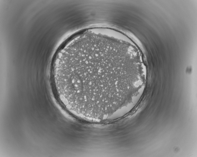 X0000093621005200711121231