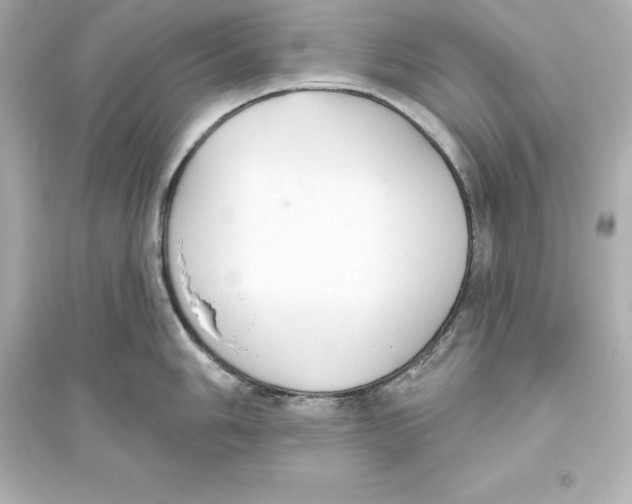 X0000093621006200711121231