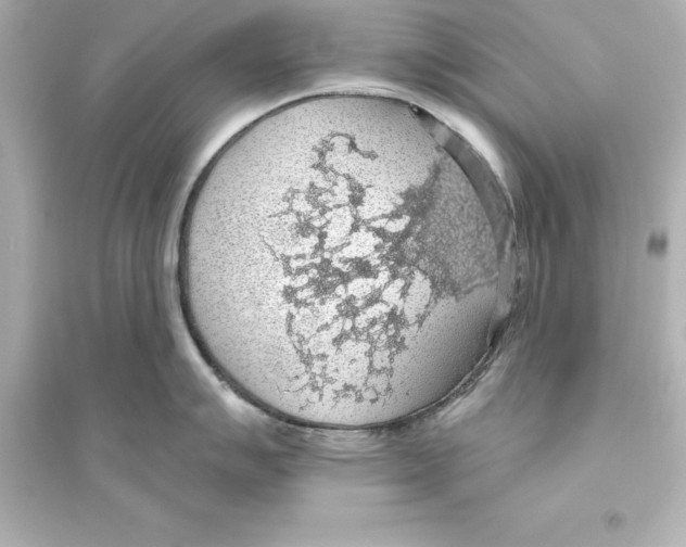 X0000093621007200711121231