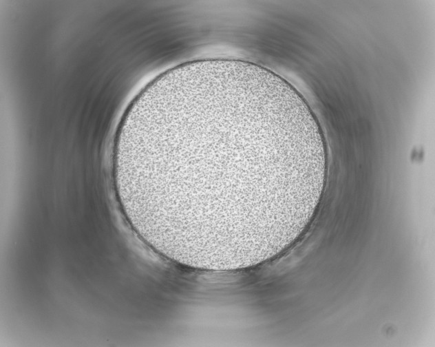 X0000093621008200711121231