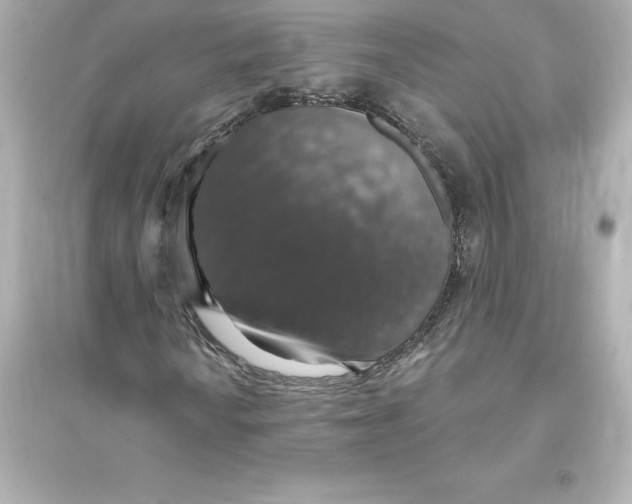 X0000093621010200711121230