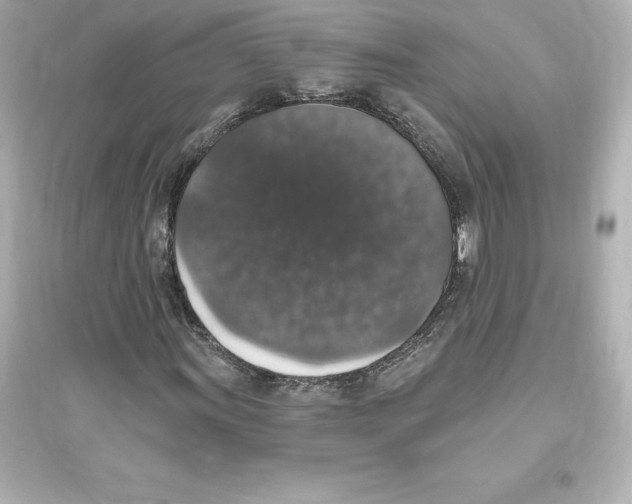 X0000093621011200711121230