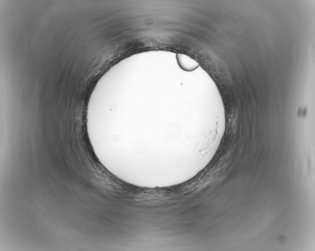 X0000093621012200711121230