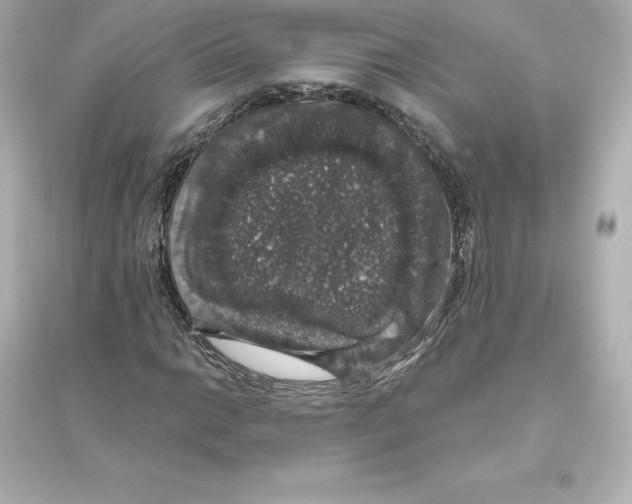 X0000093621014200711121230