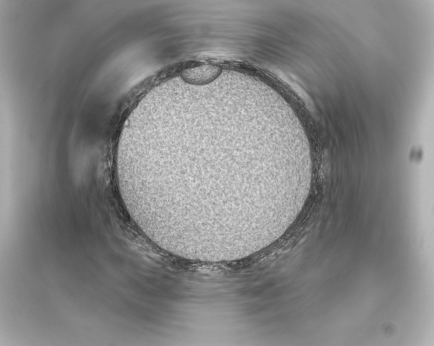 X0000093621015200711121230