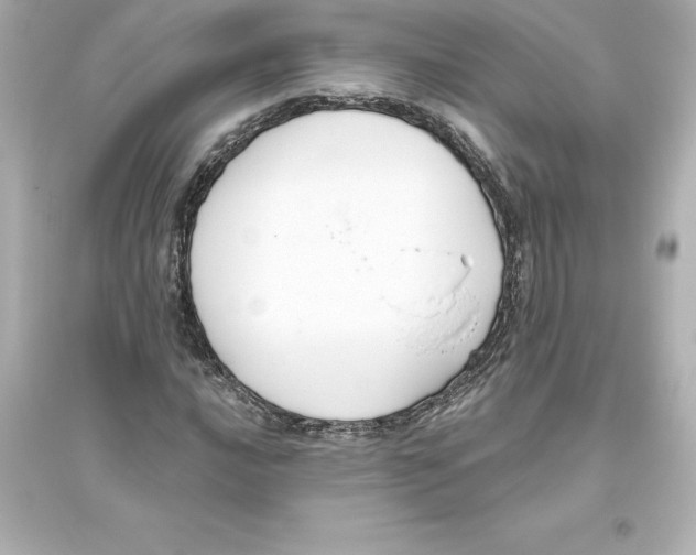 X0000093621016200711121230