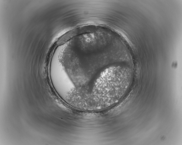 X0000093621018200711121230