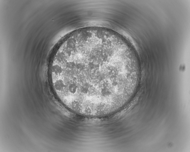 X0000093621019200711121230