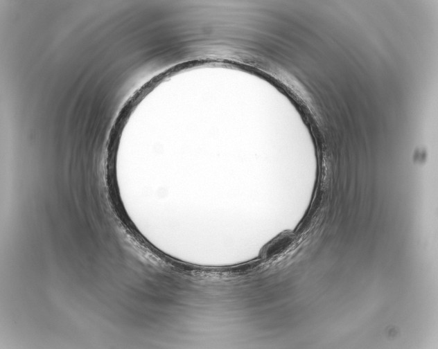 X0000093621020200711121230