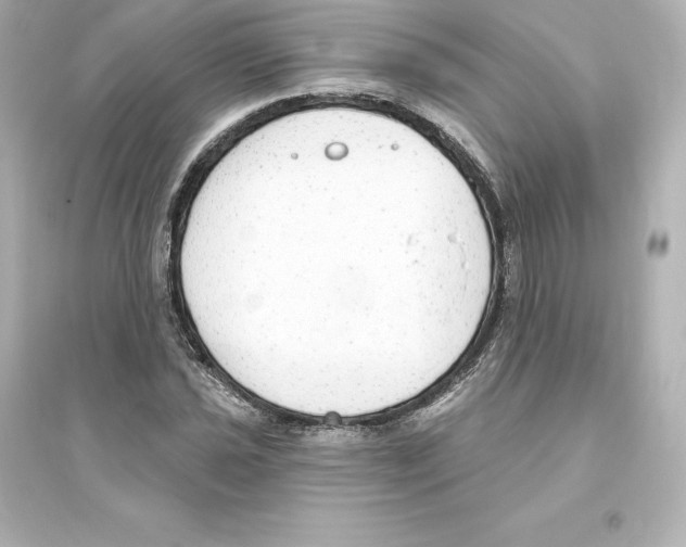 X0000093621021200711121230