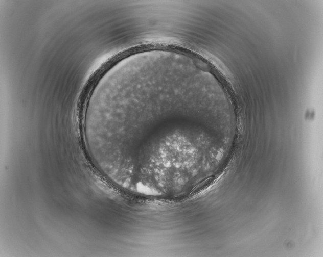 X0000093621022200711121230