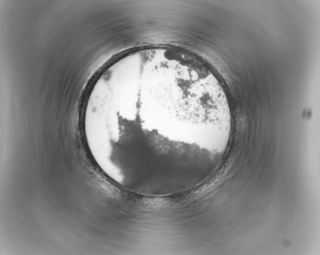 X0000093621023200711121230