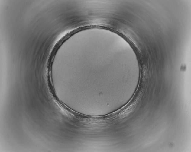 X0000093621024200711121230