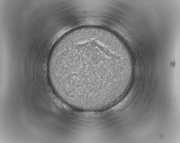 X0000093621025200711121230