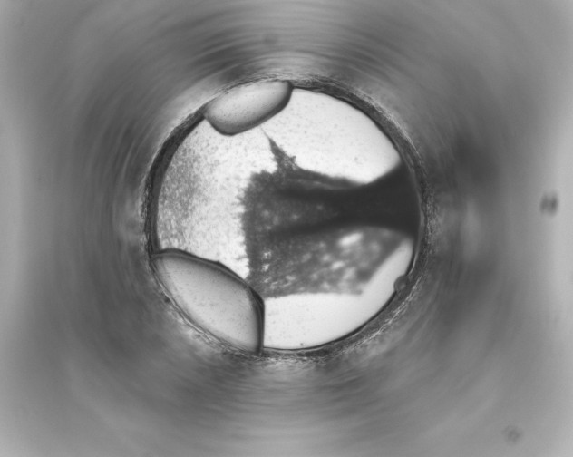 X0000093621026200711121230