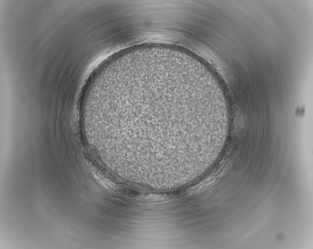 X0000093621027200711121230