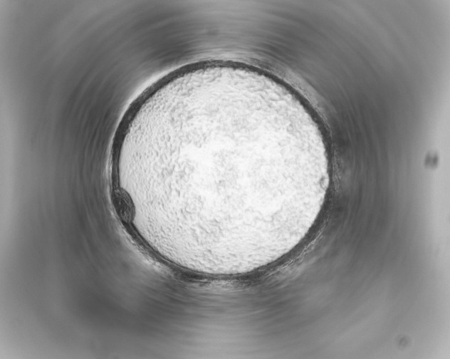 X0000093621028200711121231