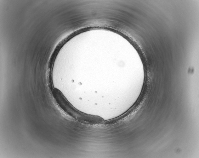 X0000093621029200711121231