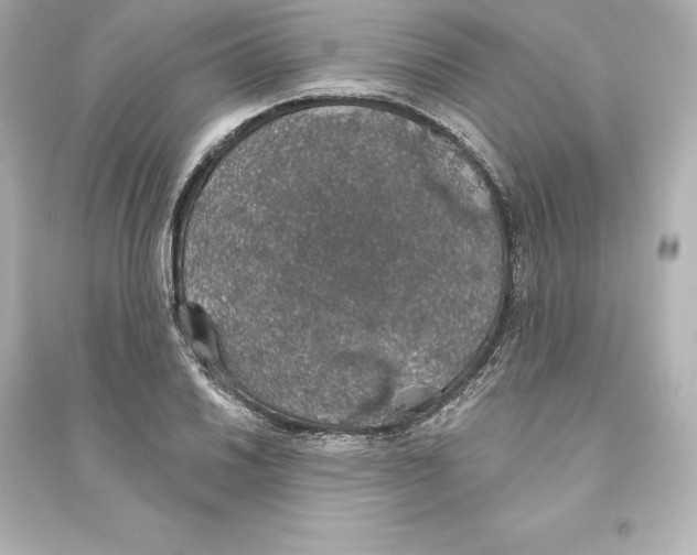 X0000093621030200711121231