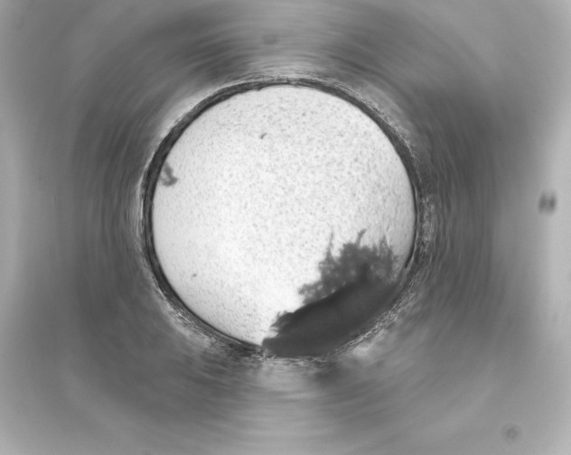 X0000093621031200711121231