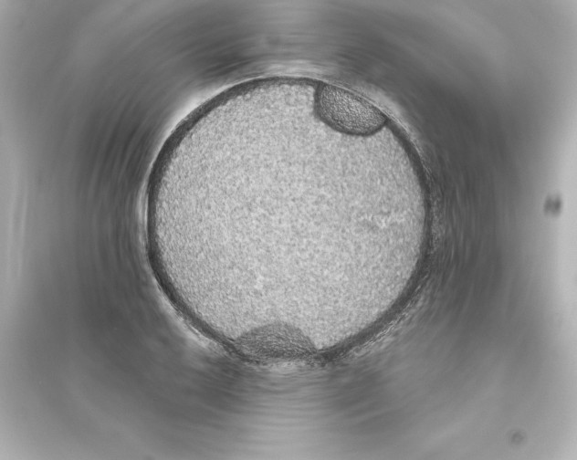 X0000093621032200711121231